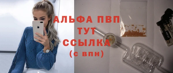 дмт Новодвинск