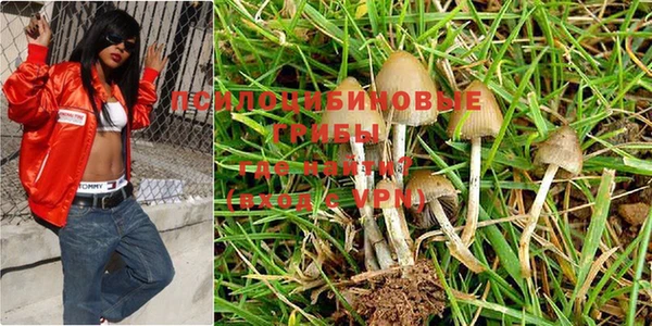 герыч Алексеевка
