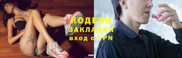 индика Алзамай