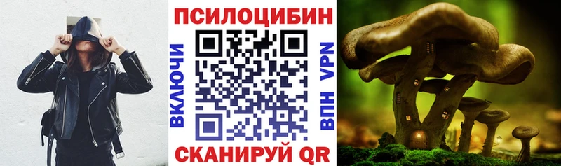 где можно купить наркотик Печоры Галлюциногенные грибы Psilocybe